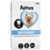 Aptus bucadog small