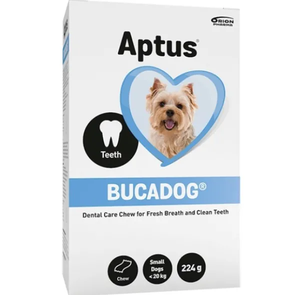 Aptus bucadog small
