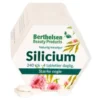 Berthelsen silicium