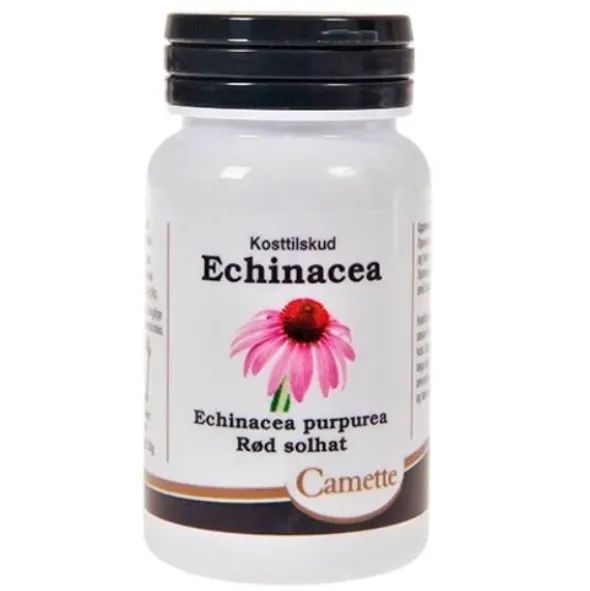 Camette echinacea