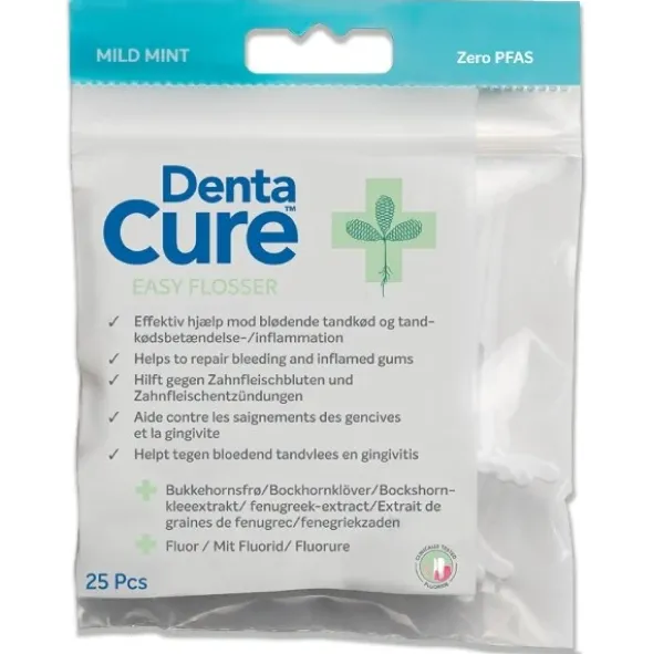 DentaCure easy flosser