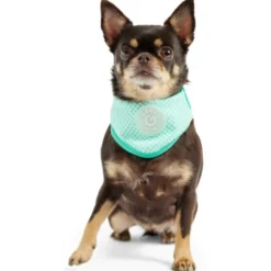 GF Pet Ice Band lille