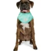GF Pet Ice Band stor