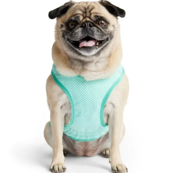 GF Pet Ice vest