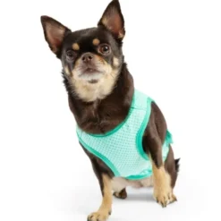 GF Pet Ice vest