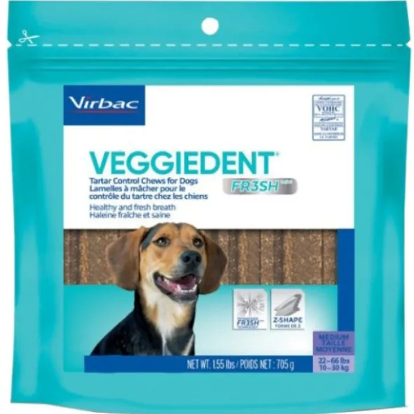 VeggieDent fr3sh m